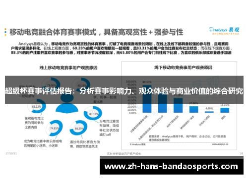 超级杯赛事评估报告：分析赛事影响力、观众体验与商业价值的综合研究