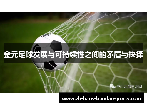 金元足球发展与可持续性之间的矛盾与抉择