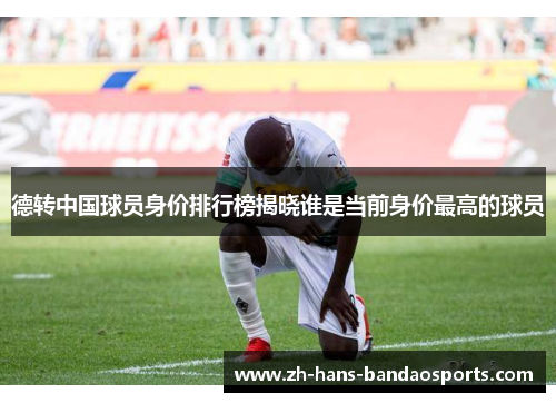 德转中国球员身价排行榜揭晓谁是当前身价最高的球员