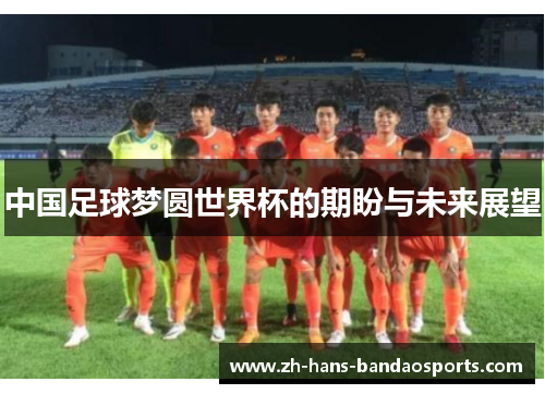 中国足球梦圆世界杯的期盼与未来展望