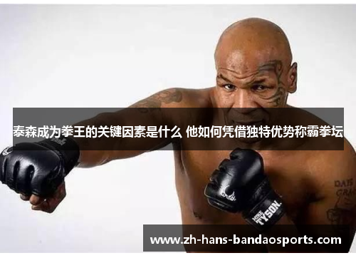 泰森成为拳王的关键因素是什么 他如何凭借独特优势称霸拳坛