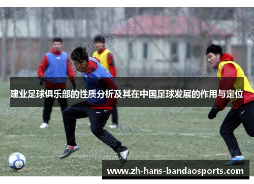 建业足球俱乐部的性质分析及其在中国足球发展的作用与定位